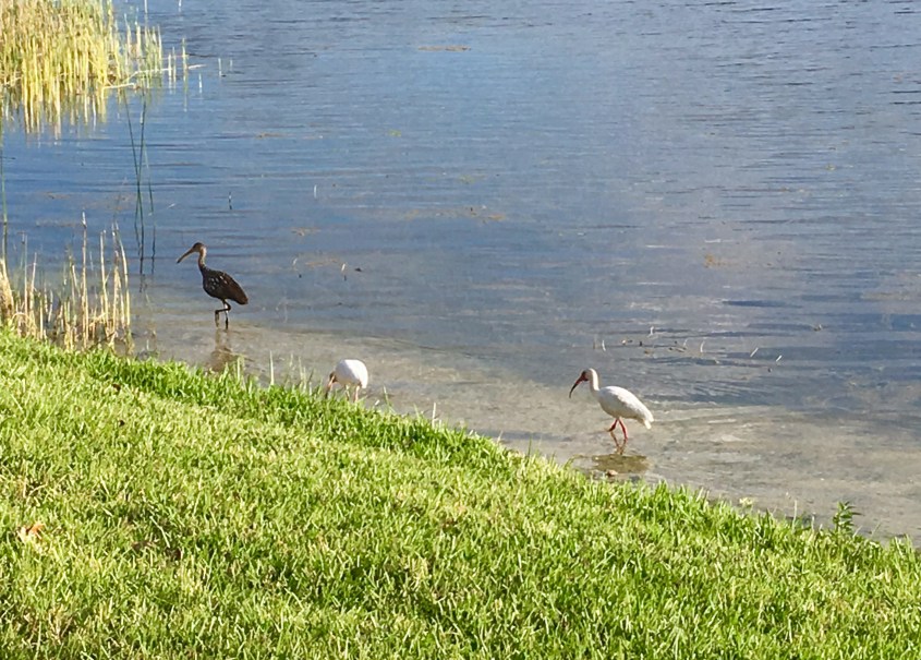 Be kind to each other