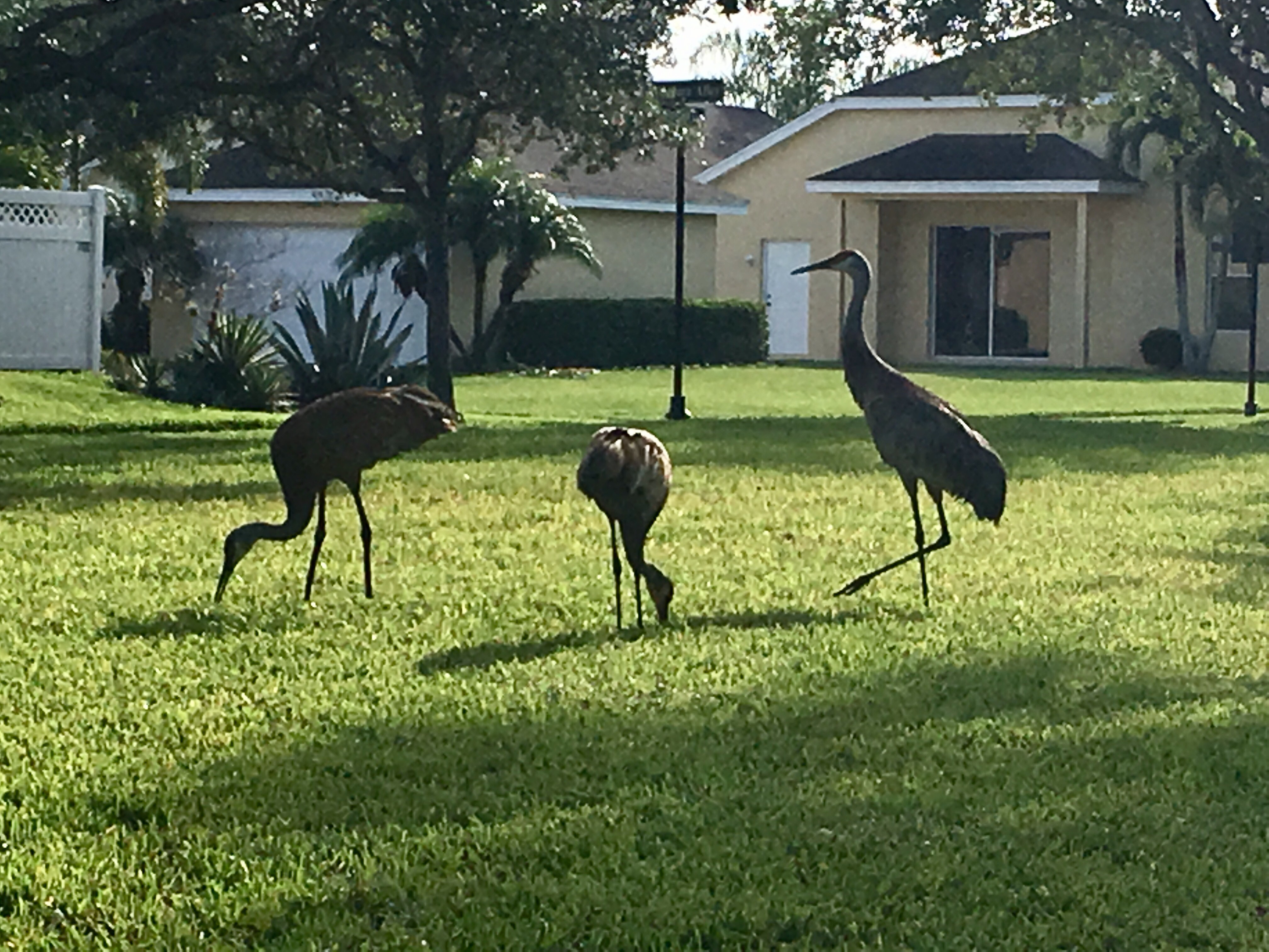 Protecting his family 
